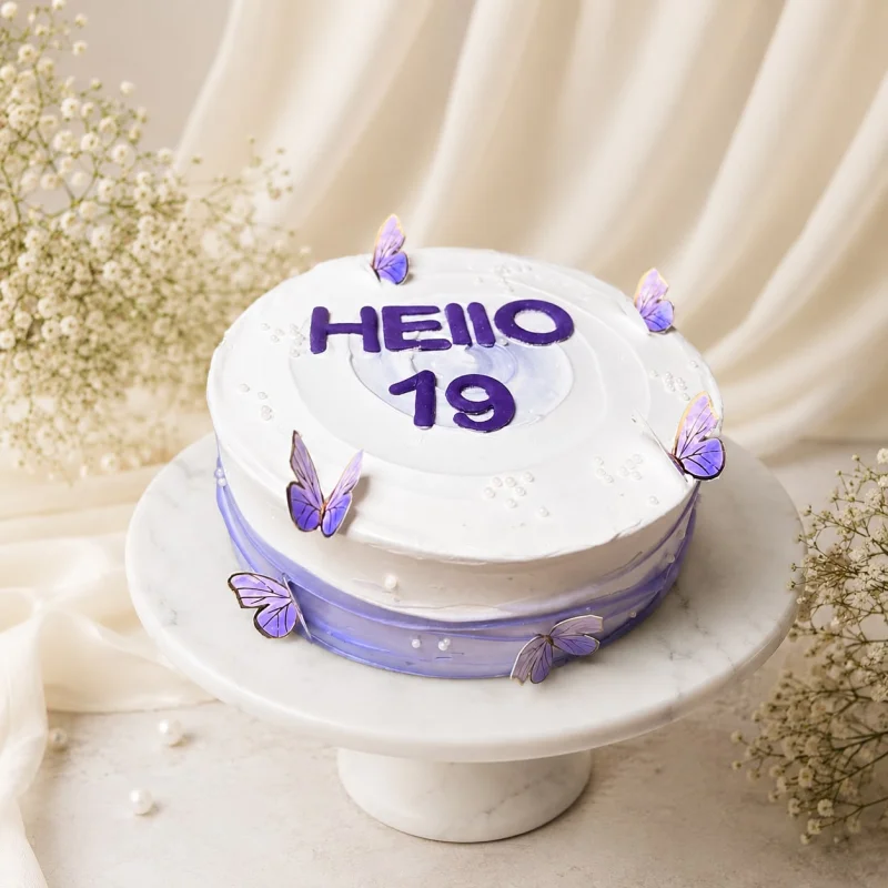 Hello 19 Butterfly Cake