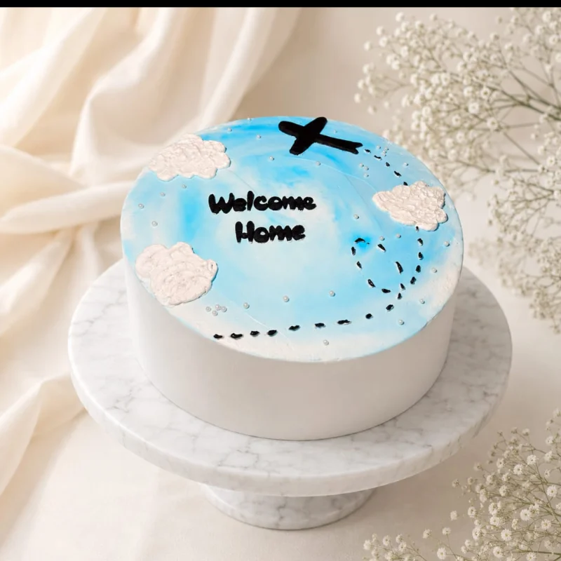 Welcome Home Sky Journey Cake
